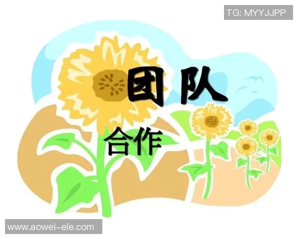 深入解析CSGOEDG战术体系与团队协作的成功秘诀